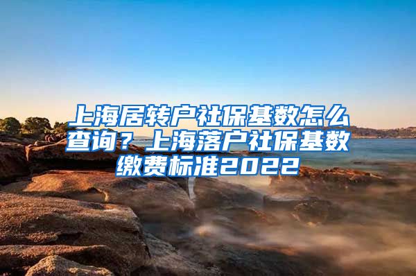 上海居转户社保基数怎么查询？上海落户社保基数缴费标准2022