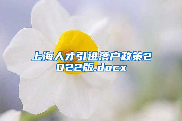 上海人才引进落户政策2022版.docx