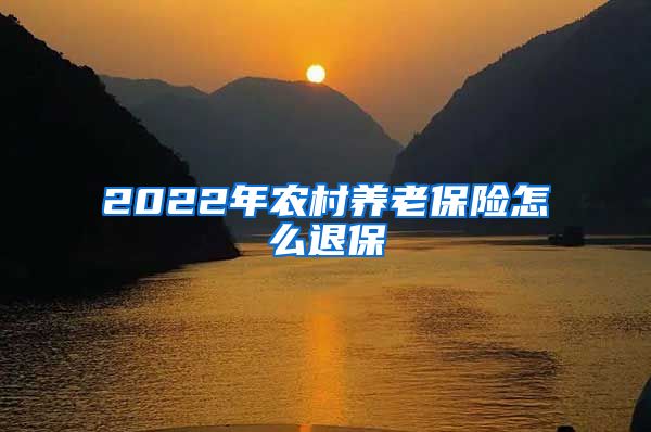 2022年农村养老保险怎么退保