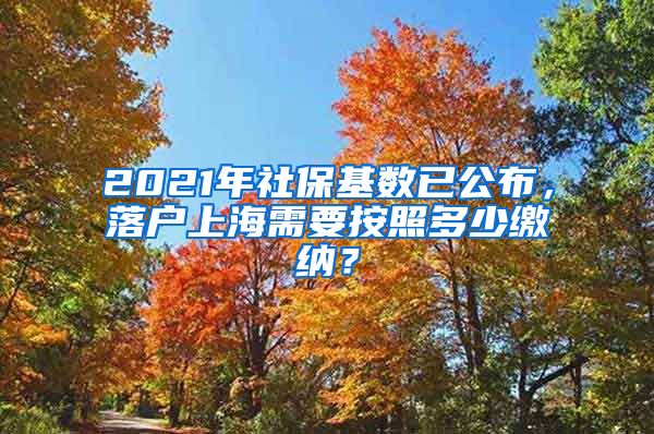 2021年社保基数已公布，落户上海需要按照多少缴纳？