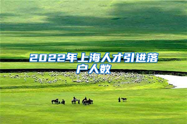 2022年上海人才引进落户人数