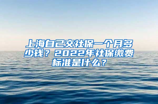 上海自己交社保一个月多少钱？2022年社保缴费标准是什么？