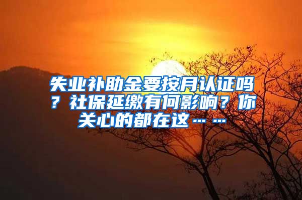 失业补助金要按月认证吗？社保延缴有何影响？你关心的都在这……