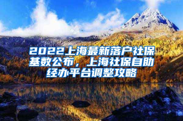 2022上海最新落户社保基数公布，上海社保自助经办平台调整攻略