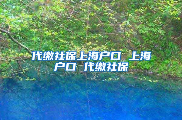 代缴社保上海户口 上海户口 代缴社保