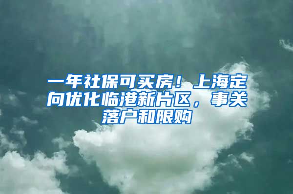 一年社保可买房！上海定向优化临港新片区，事关落户和限购