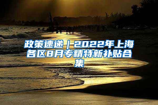 政策速递｜2022年上海各区8月专精特新补贴合集