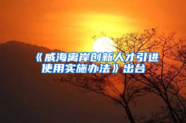 《威海离岸创新人才引进使用实施办法》出台