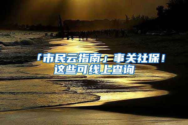 「市民云指南」事关社保！这些可线上查询