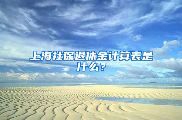 上海社保退休金计算表是什么？