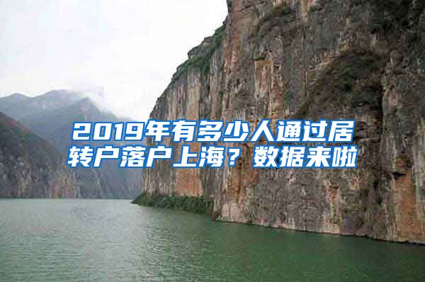 2019年有多少人通过居转户落户上海？数据来啦