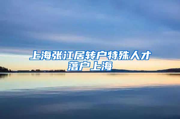 上海张江居转户特殊人才落户上海