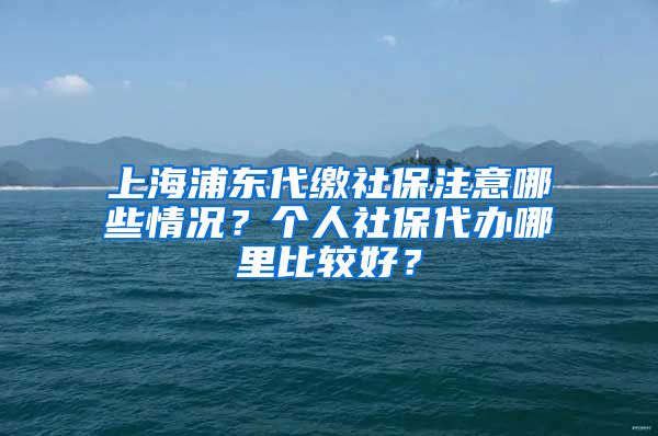 上海浦东代缴社保注意哪些情况？个人社保代办哪里比较好？