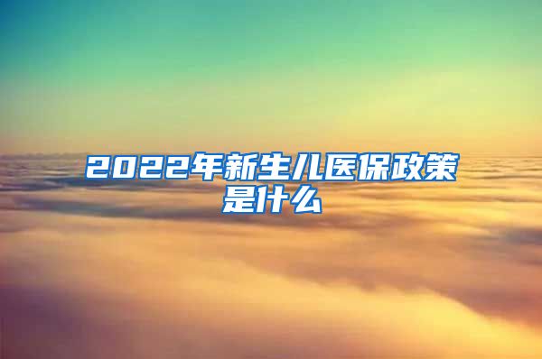 2022年新生儿医保政策是什么