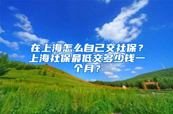 在上海怎么自己交社保？上海社保最低交多少钱一个月？