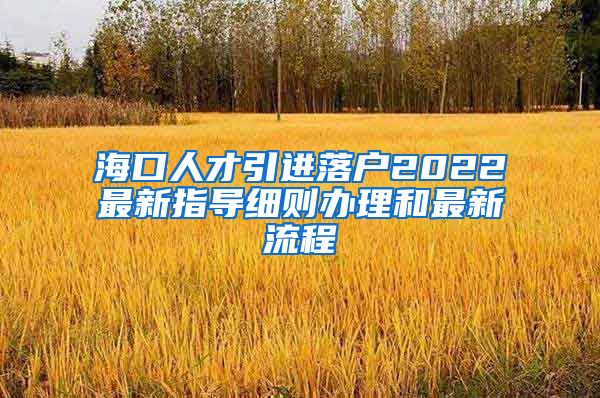 海口人才引进落户2022最新指导细则办理和最新流程