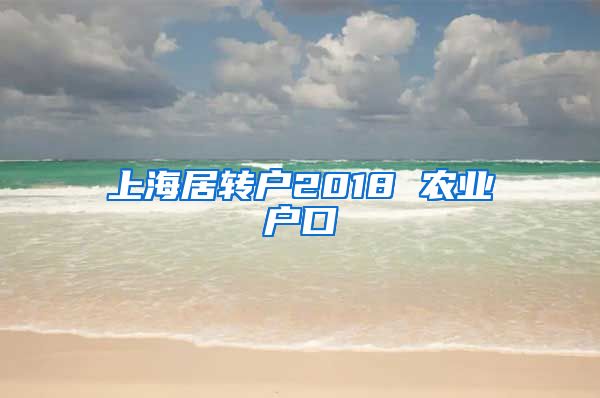 上海居转户2018 农业户口