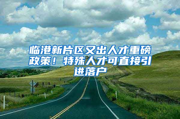 临港新片区又出人才重磅政策！特殊人才可直接引进落户