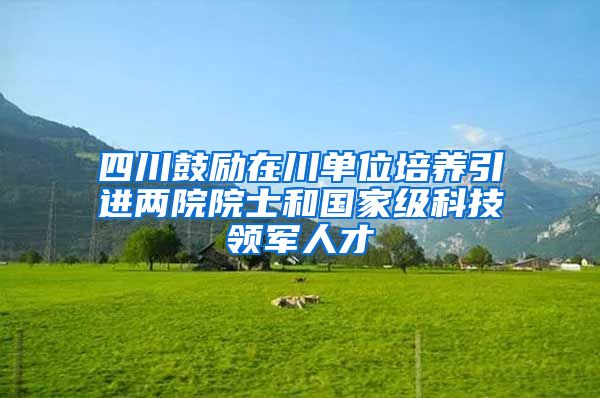 四川鼓励在川单位培养引进两院院士和国家级科技领军人才