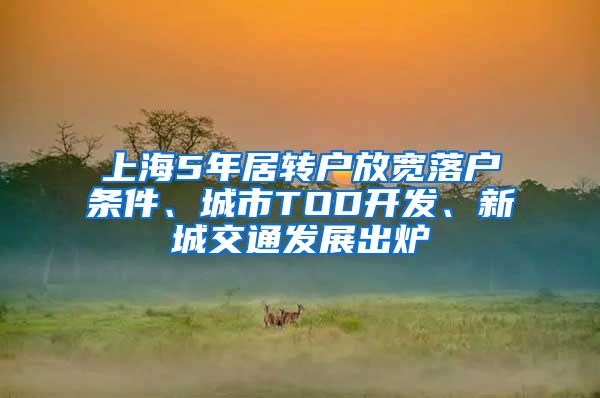 上海5年居转户放宽落户条件、城市TOD开发、新城交通发展出炉