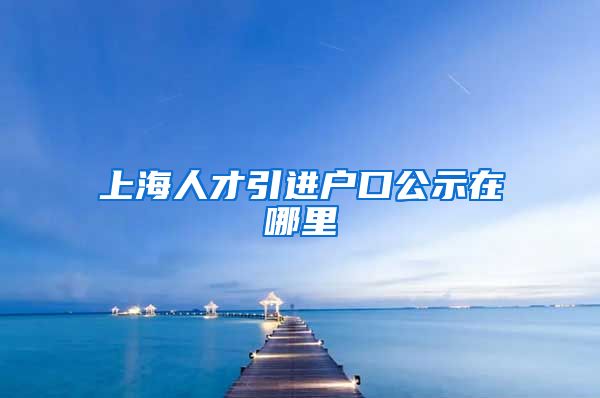 上海人才引进户口公示在哪里