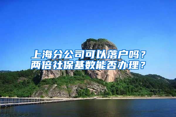 上海分公司可以落户吗？两倍社保基数能否办理？