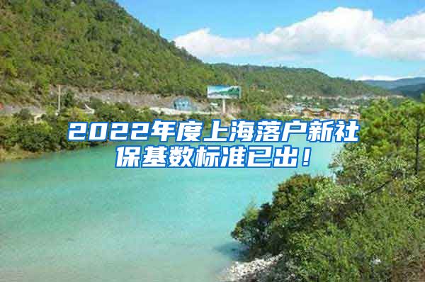 2022年度上海落户新社保基数标准已出！