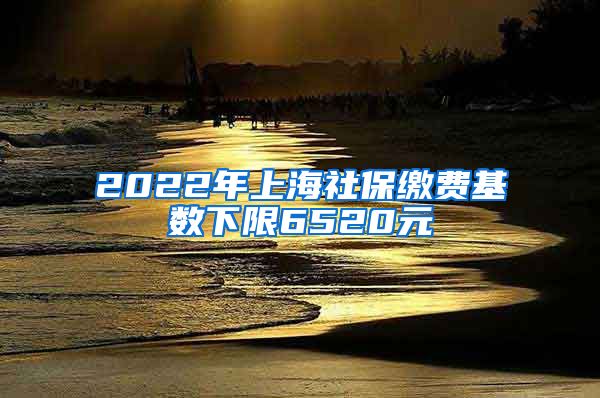 2022年上海社保缴费基数下限6520元