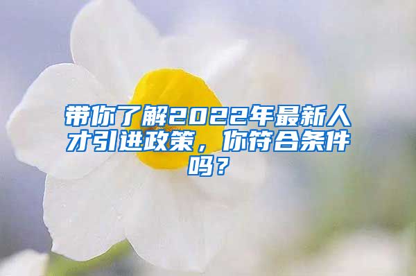 带你了解2022年最新人才引进政策，你符合条件吗？