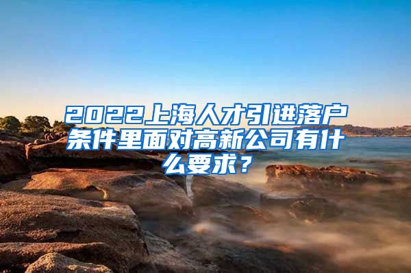 2022上海人才引进落户条件里面对高新公司有什么要求？