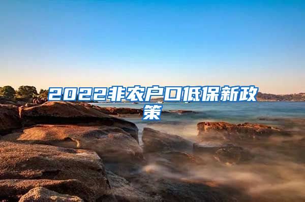 2022非农户口低保新政策