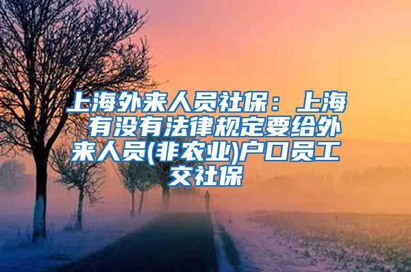 上海外来人员社保：上海 有没有法律规定要给外来人员(非农业)户口员工交社保