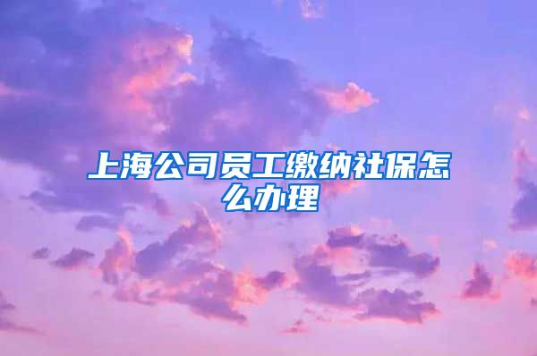 上海公司员工缴纳社保怎么办理