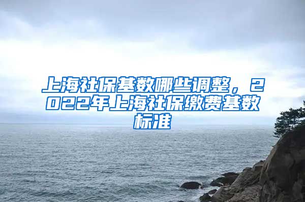 上海社保基数哪些调整，2022年上海社保缴费基数标准