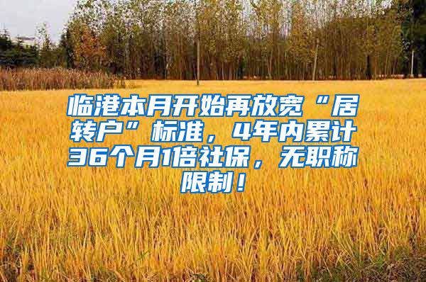 临港本月开始再放宽“居转户”标准，4年内累计36个月1倍社保，无职称限制！