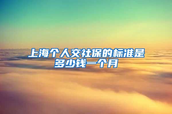 上海个人交社保的标准是多少钱一个月