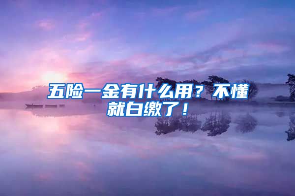 五险一金有什么用？不懂就白缴了！