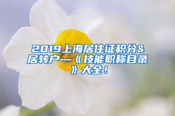 2019上海居住证积分&居转户—《技能职称目录》大全！