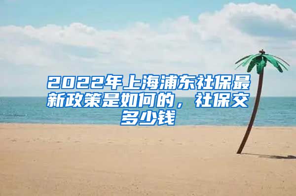 2022年上海浦东社保最新政策是如何的，社保交多少钱