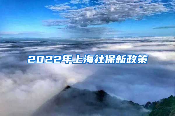 2022年上海社保新政策