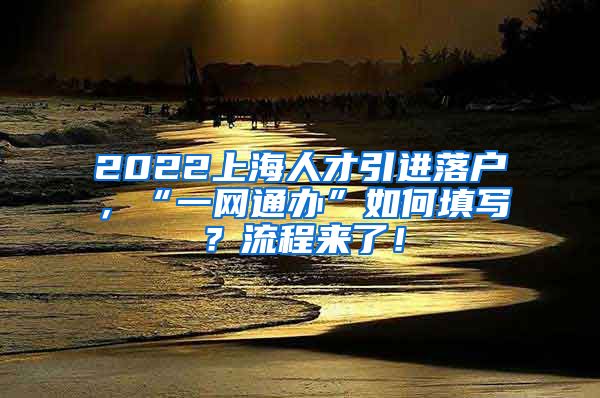 2022上海人才引进落户，“一网通办”如何填写？流程来了！