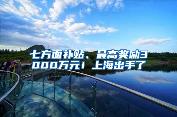 七方面补贴、最高奖励3000万元！上海出手了