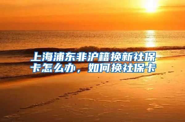 上海浦东非沪籍换新社保卡怎么办，如何换社保卡