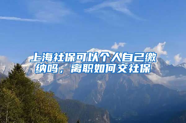 上海社保可以个人自己缴纳吗，离职如何交社保