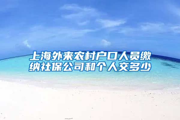 上海外来农村户口人员缴纳社保公司和个人交多少