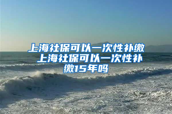 上海社保可以一次性补缴 上海社保可以一次性补缴15年吗