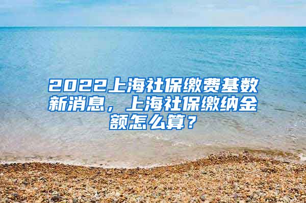 2022上海社保缴费基数新消息，上海社保缴纳金额怎么算？