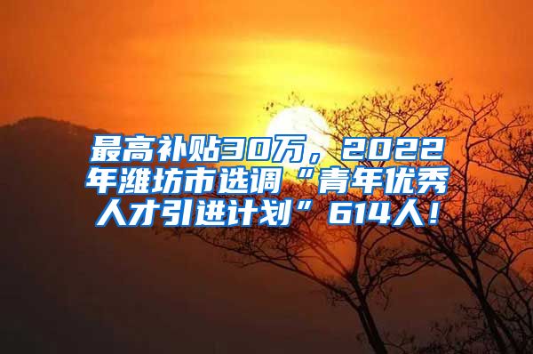 最高补贴30万，2022年潍坊市选调“青年优秀人才引进计划”614人！