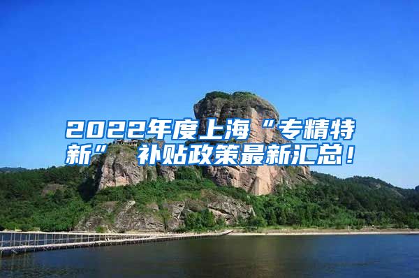 2022年度上海“专精特新” 补贴政策最新汇总！