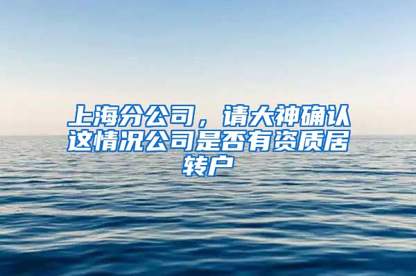 上海分公司，请大神确认这情况公司是否有资质居转户